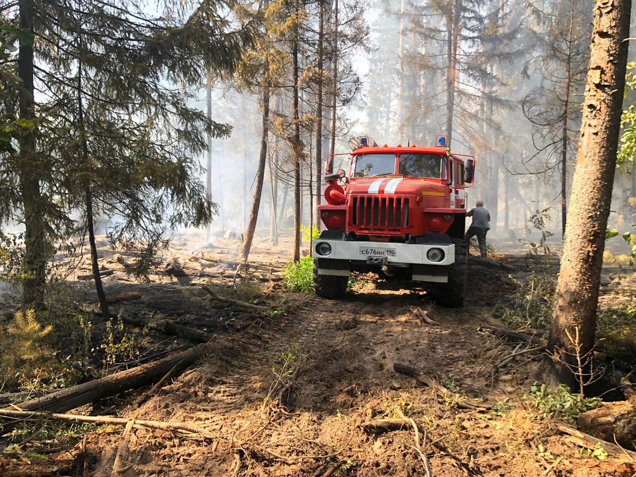 В Запутновском участковом лесничестве ликвидирован пожар