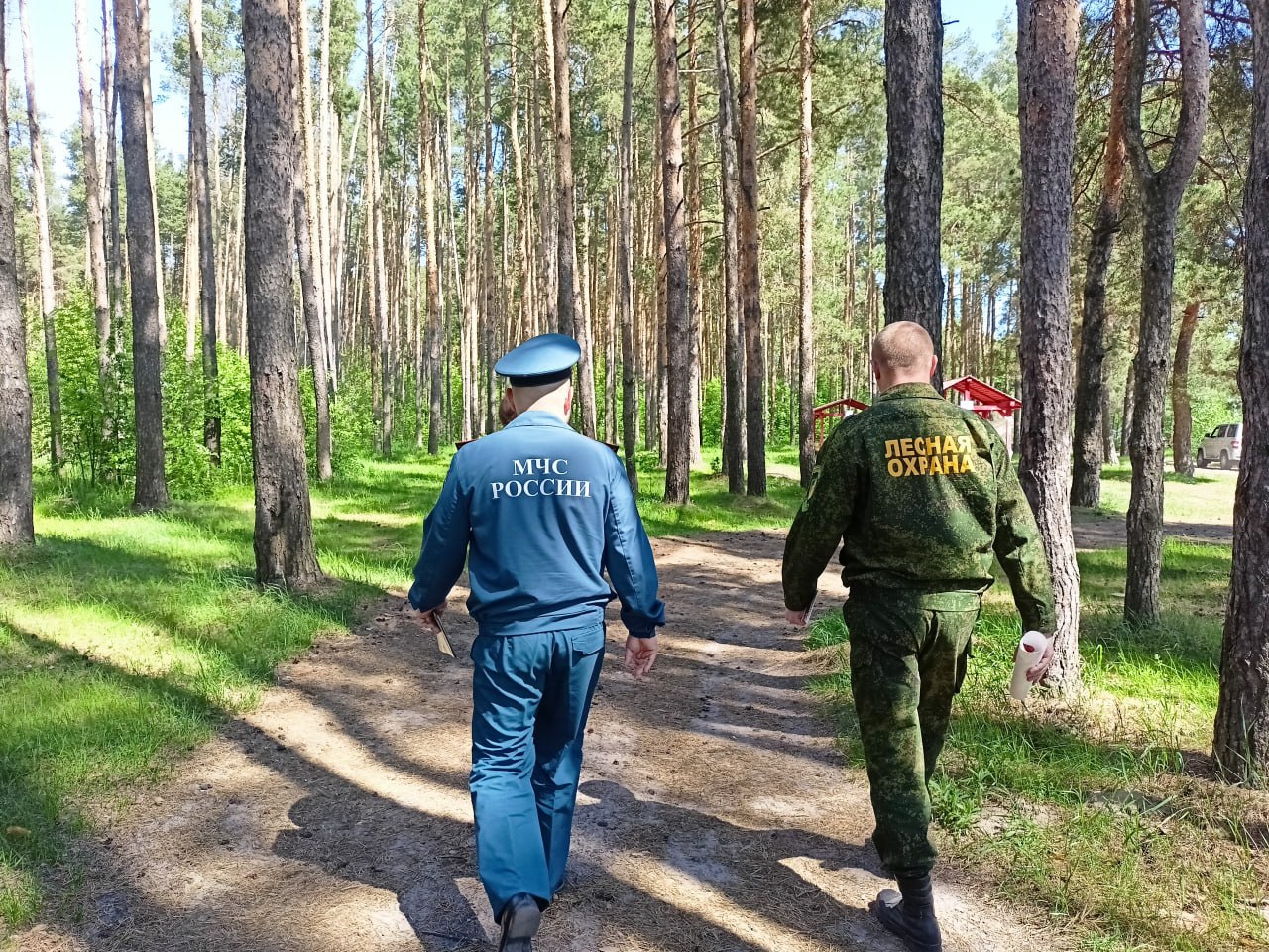 Рейды на территории подмосковного лесного фонда