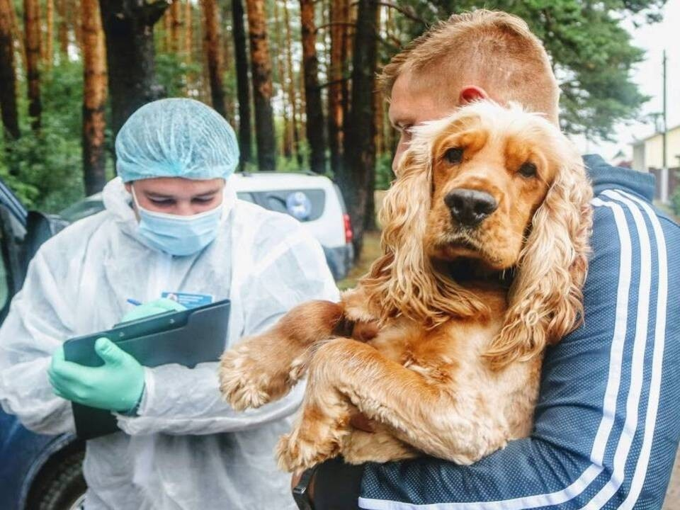 Ореховозуевцы могут вакцинировать своих домашних питомцев от бешенства